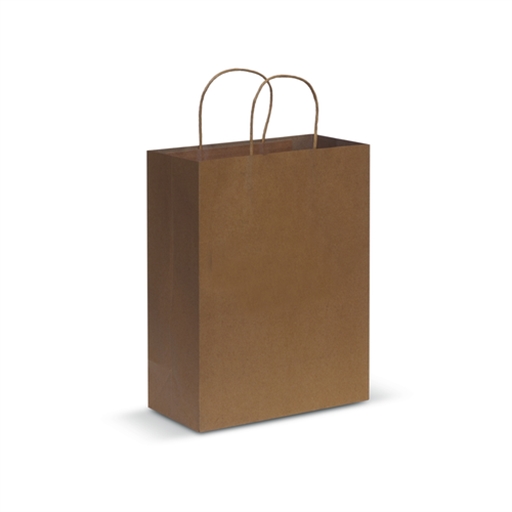 Paper Carry Bag - Large