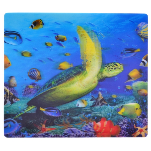 Hologram Mouse Mat