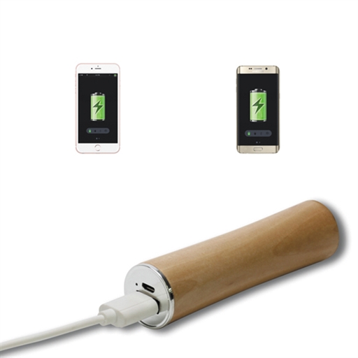 King Power Bank
