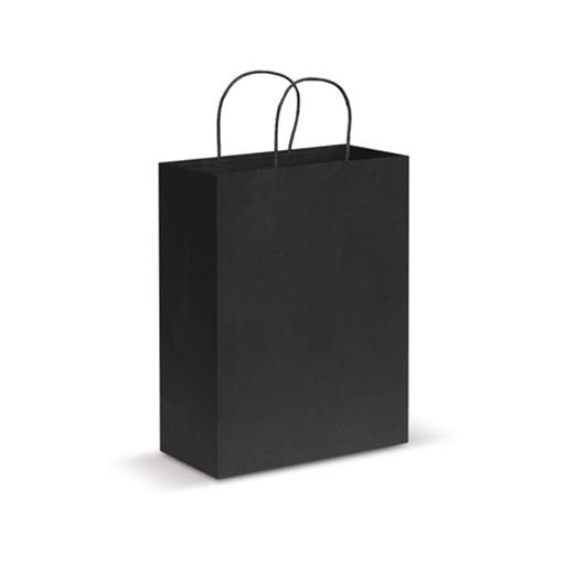 Paper Carry Bag - Large