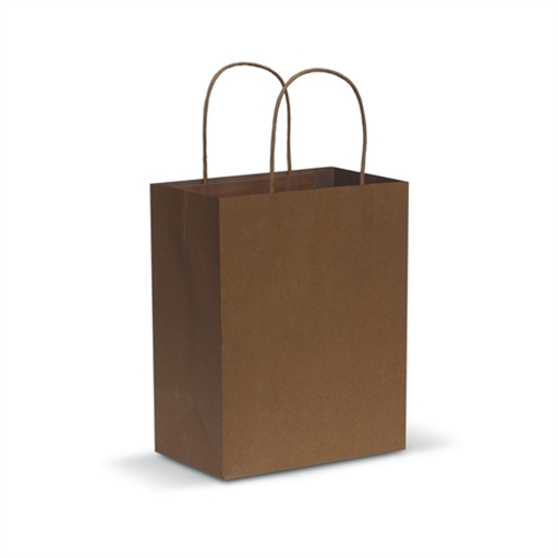 Paper Carry Bag - Medium