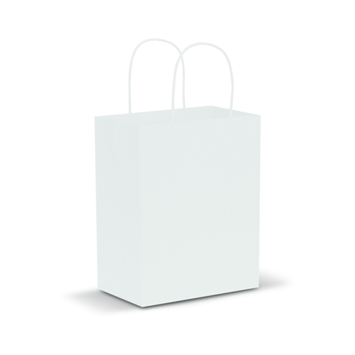 Paper Carry Bag - Medium