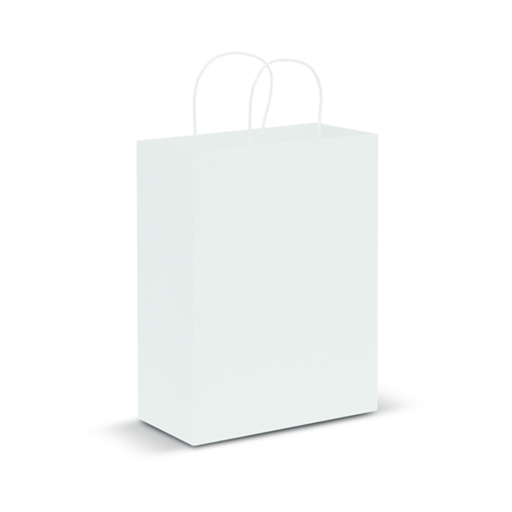Paper Carry Bag - Large