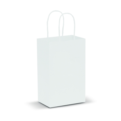 Paper Carry Bag - Small