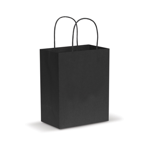 Paper Carry Bag - Medium