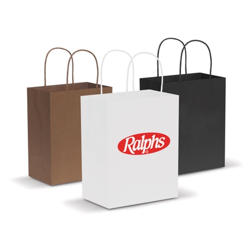 Paper Carry Bag - Medium